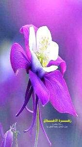 The Flower of Ethics